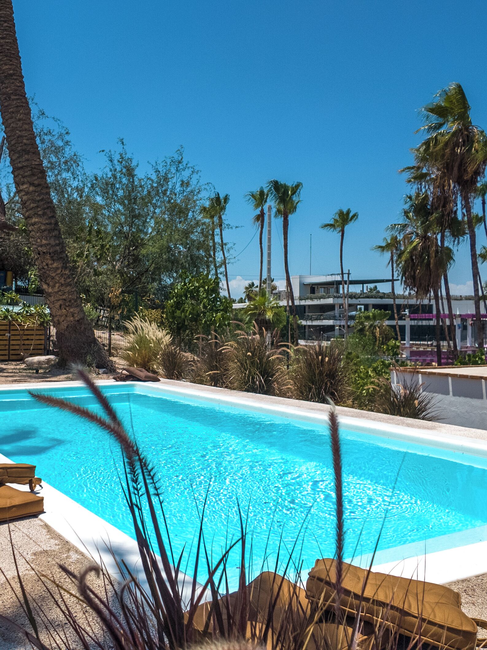 Una piscina con agua azul cristalina, rodeada de palmeras y otra vegetación.