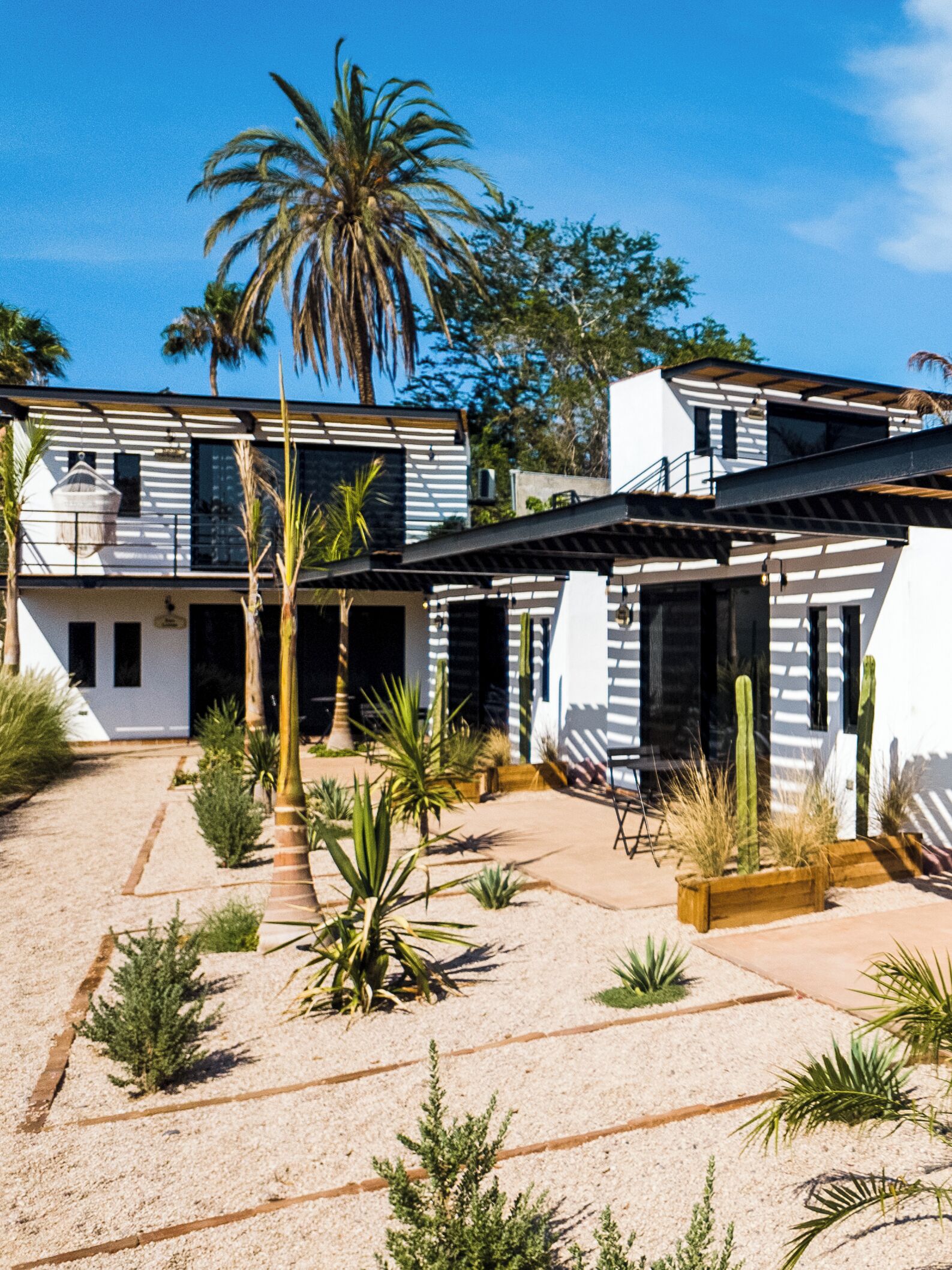 A modern two-story house with a covered patio area, surrounded by various desert plants and a palm tree.