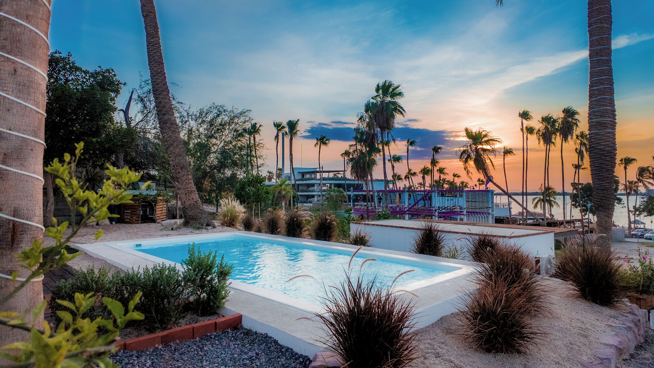 Una piscina rodeada de palmeras y vista al atardecer.