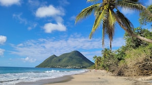A beach with footprints, palm trees, and a mountain in the background. - T2 Ti Madinina sea view with pool Le Diamant (Le Diamant)