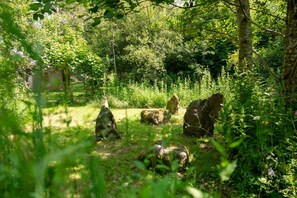 Overnatningsstedets område