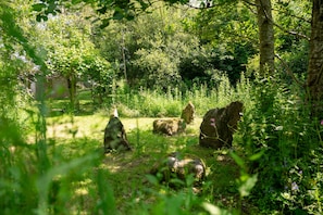 Terrain de l’hébergement