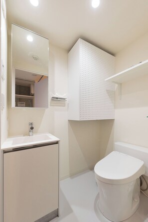 Hair dryer, towels, soap, toilet paper