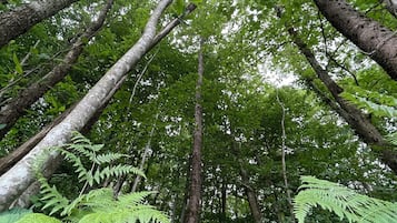 住宿正面