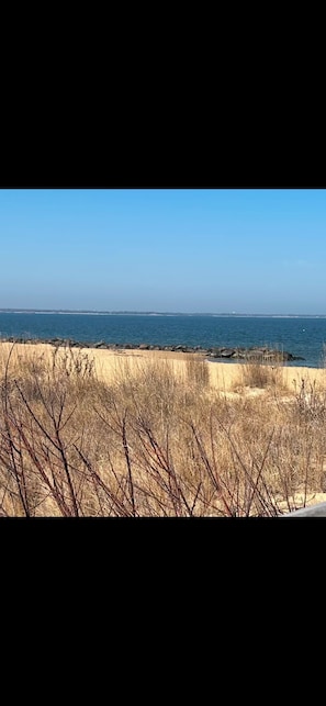 海滩