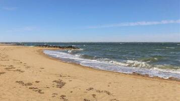 Playa