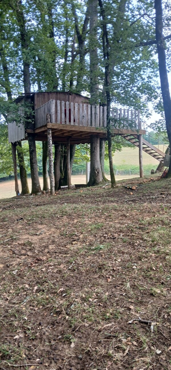 Àrea exterior de l'allotjament