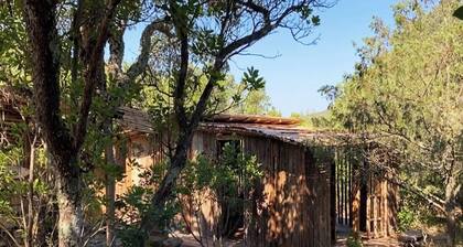 Wooden cottage in the woods a few kilometers from the sea Secret Sardinia