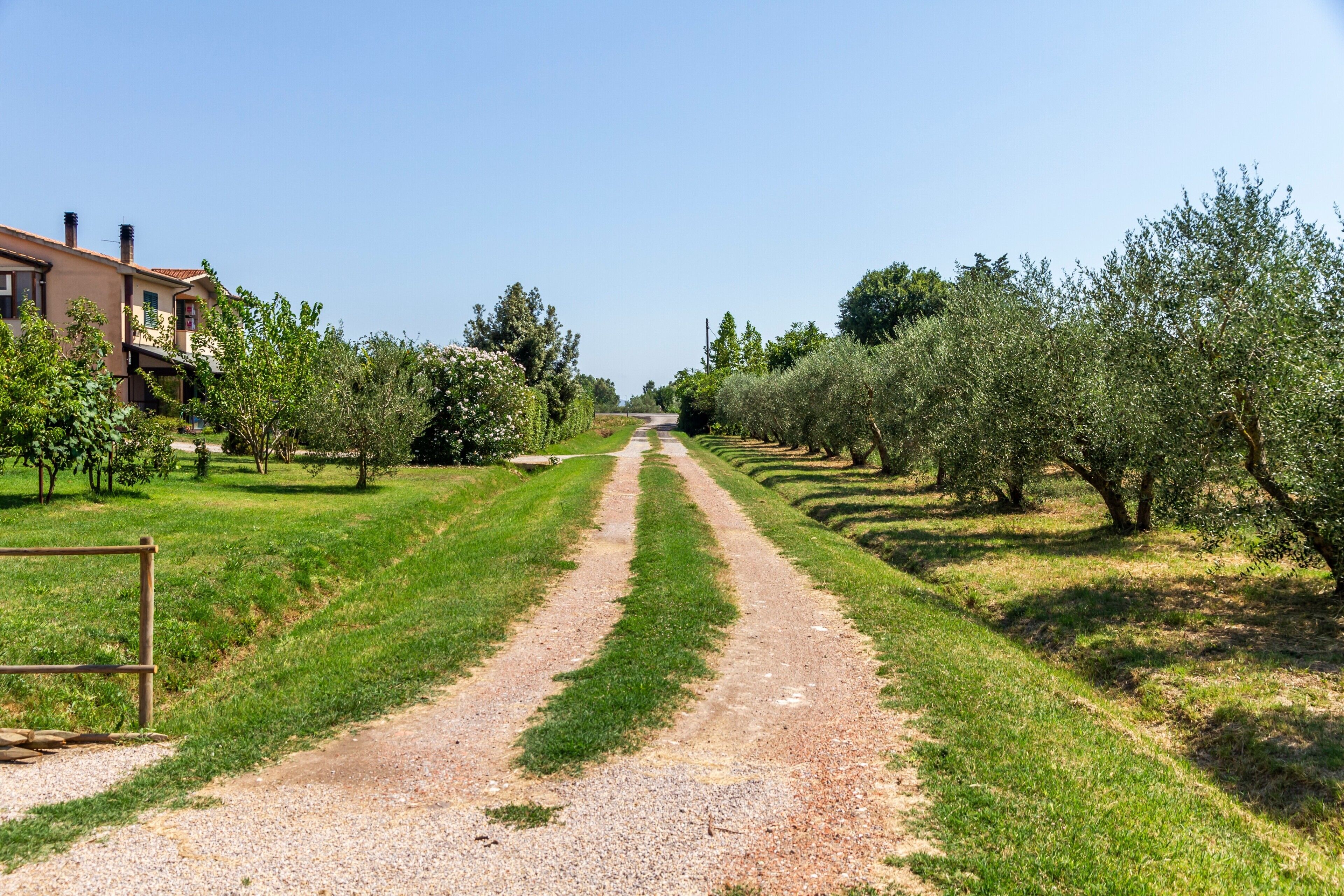 Parco della struttura