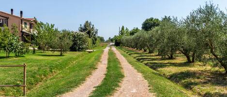 Área da propriedade