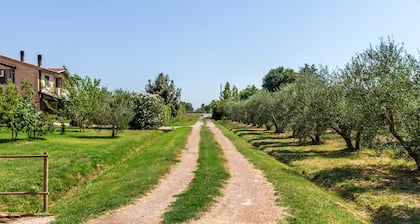 Apartment 'Lavanda' with Private Terrace, Wi-Fi and Air Conditioning