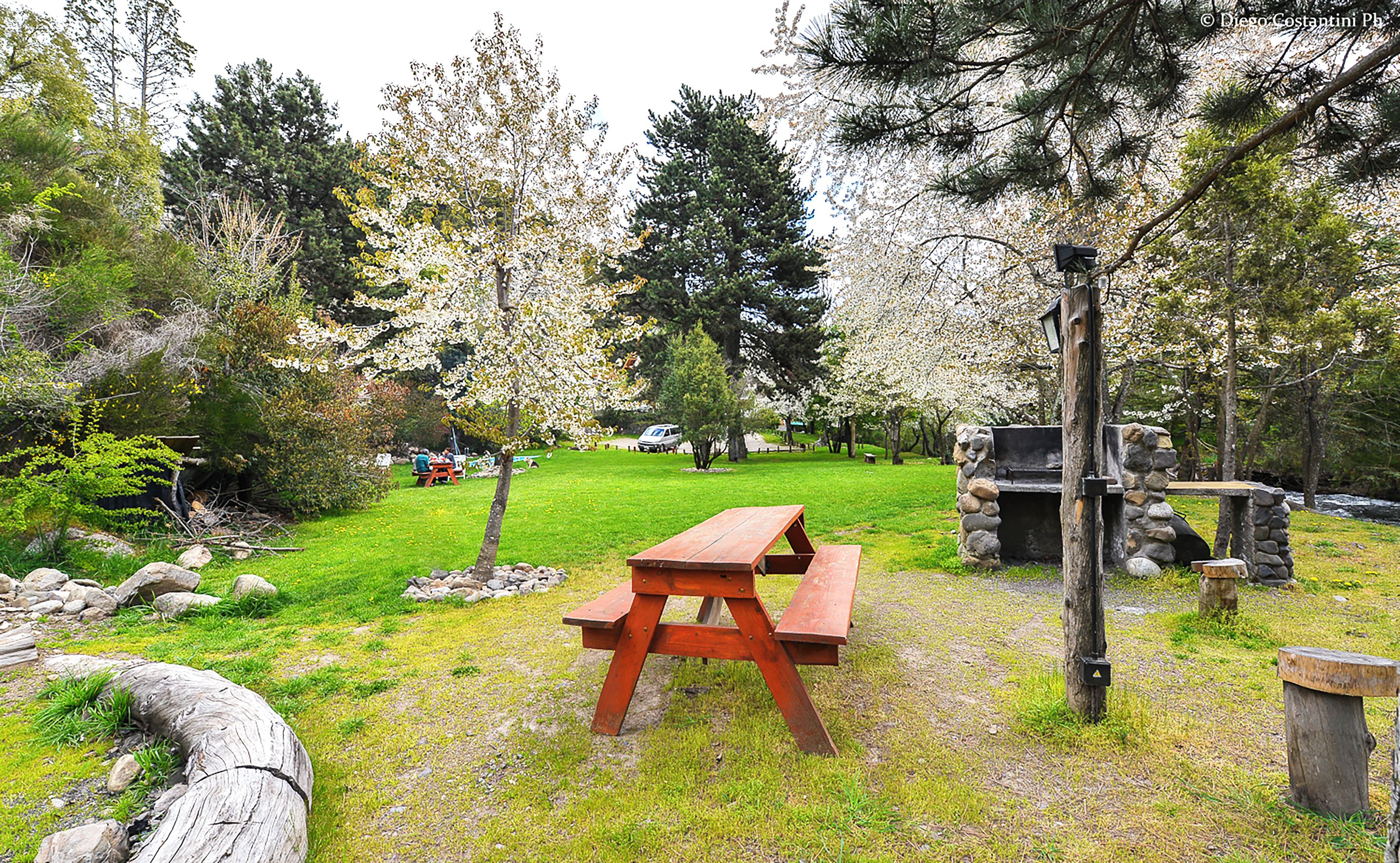 A picnic table in a park with trees and a stone bench.