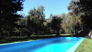 A clear blue swimming pool surrounded by grass and trees. - Apart Hotel Rucaleufú (San Martín de los Andes)