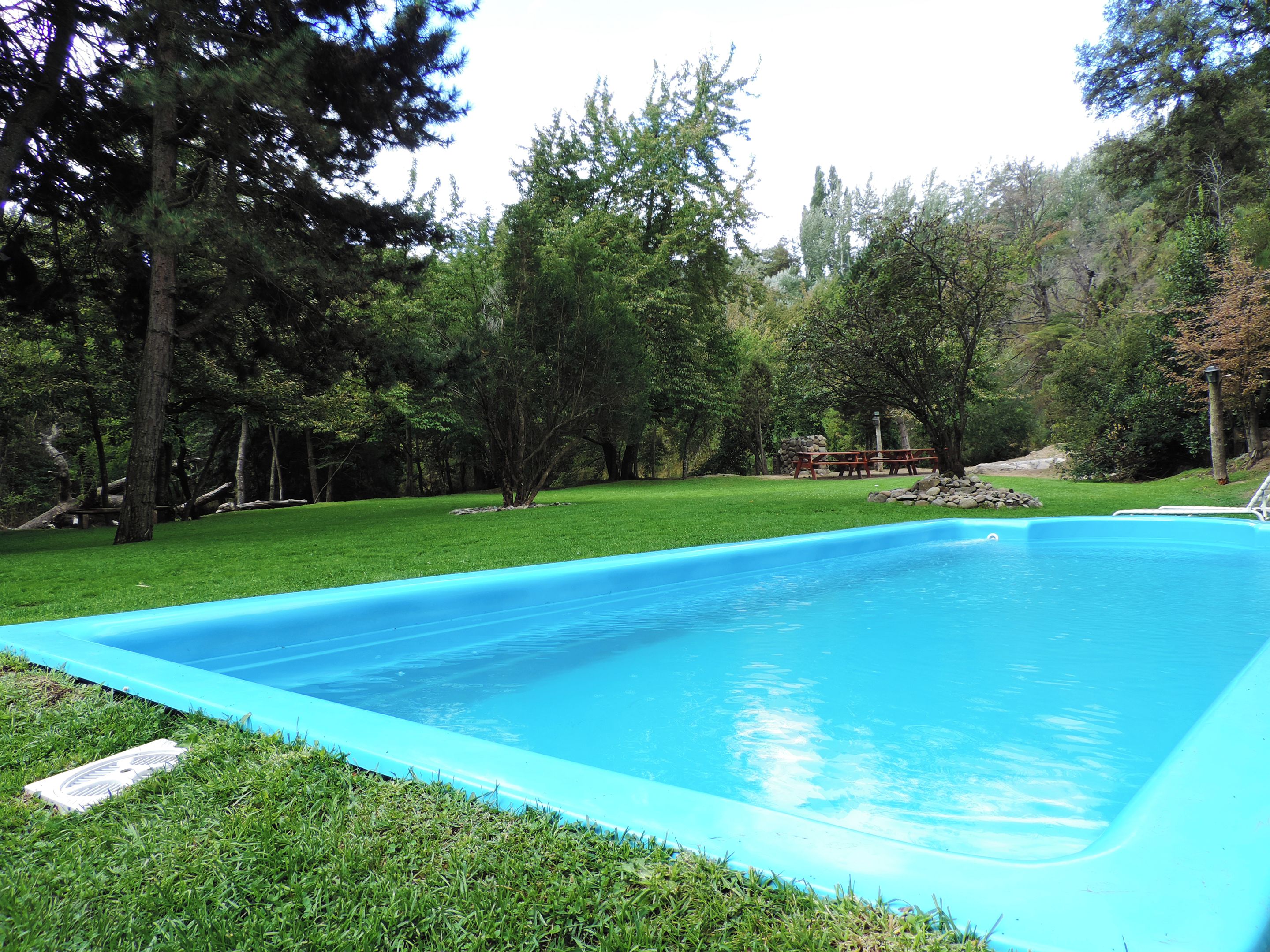 Una piscina rectangular con revestimiento azul, rodeada por un césped y árboles.