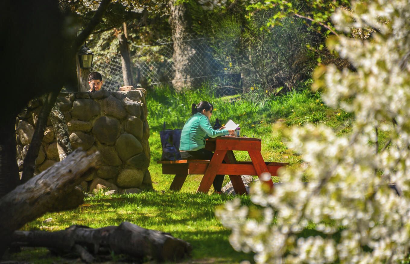 Una persona sentada en una mesa de picnic de madera en un área al aire libre con césped, un muro de piedra y un farol al fondo.