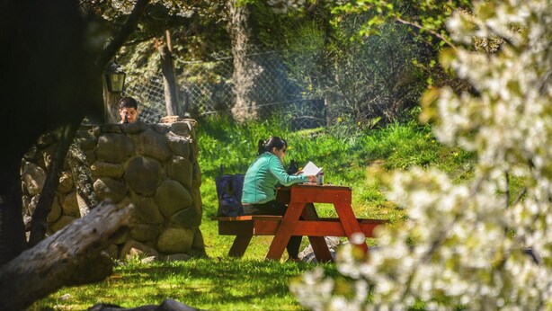 A person sitting at a wooden picnic table in a grassy area with a stone wall and a lamp post in the background. - Apart Hotel Rucaleufú (San Martín de los Andes)