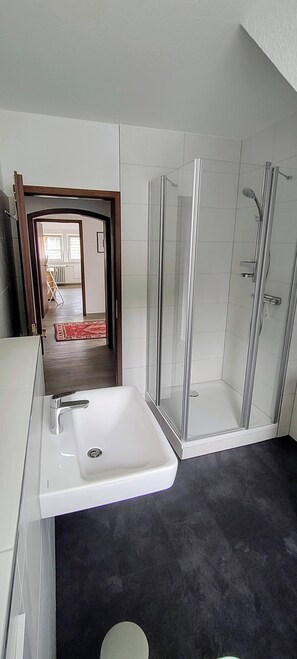 Shower, hair dryer, towels