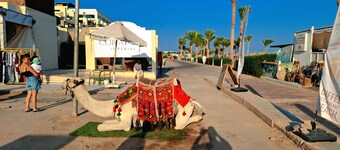 Sharm Hills Resort - Luxury Apartment 8
