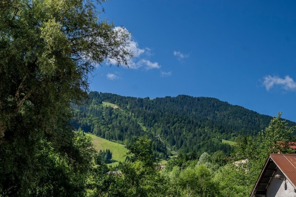 Paisaje montañoso con una casa en primer plano.