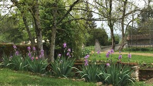Ein Garten mit violetten Blumen und Bäumen.