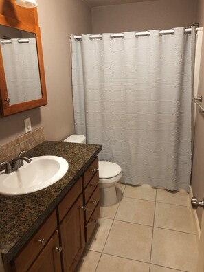 Hair dryer, towels, shampoo, toilet paper