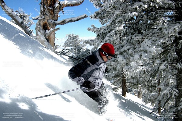 A skier on a snowy slope.