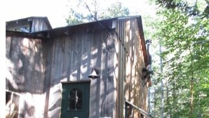 Una cabaña de madera rústica con puerta verde, un pequeño porche y un cuadro de electricidad.