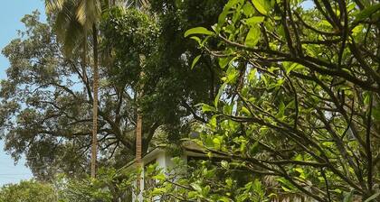 4-bedroom Villa with Private Pool and Ice Bath Nestled in Tranquility