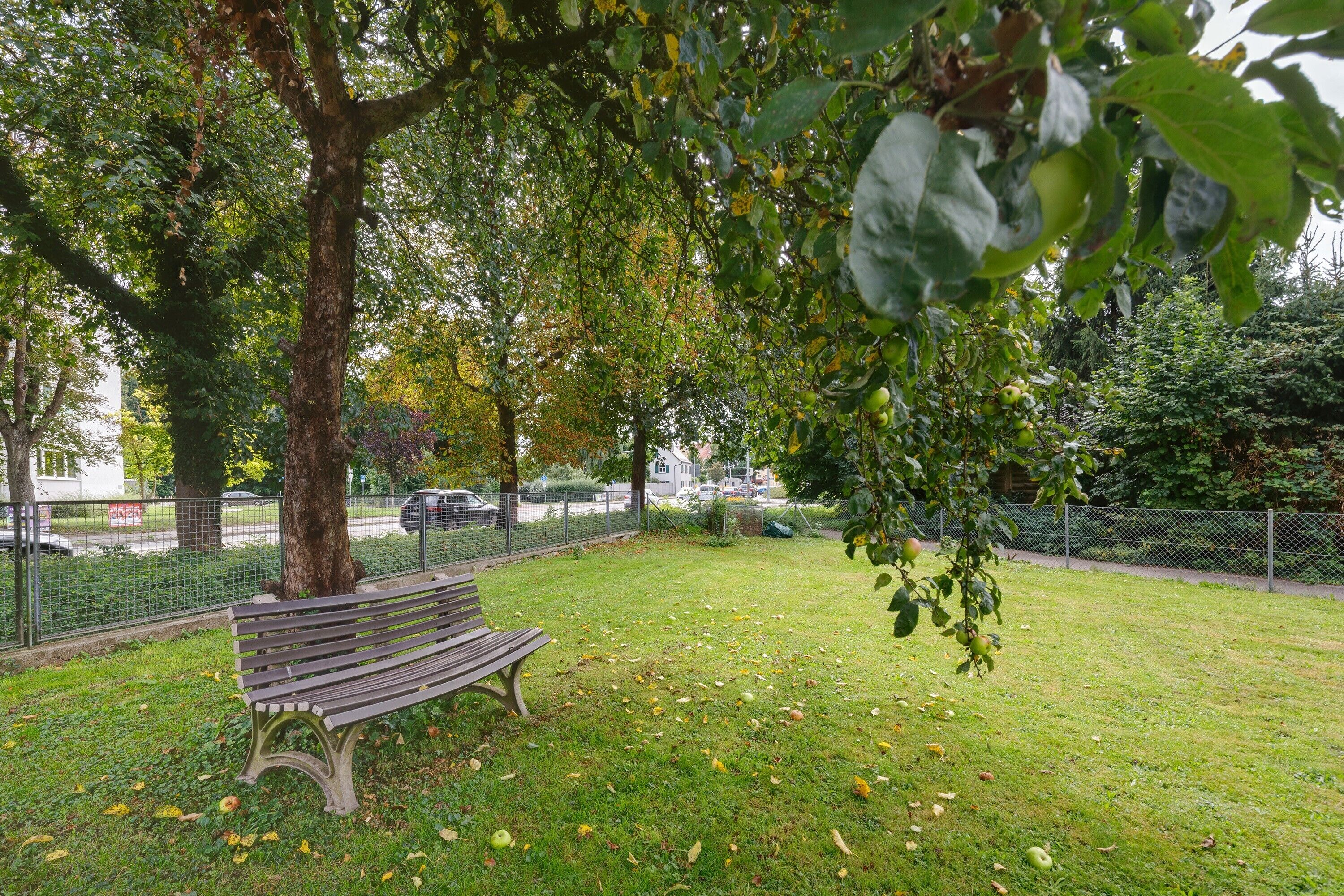 Terrain de l’hébergement 