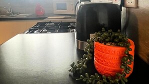 La cuisine est équipée d’une cuisinière à gaz, d’un four à micro-ondes et d’un grille-pain. On peut voir une plante en pot sur le comptoir.