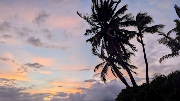 A beach with palm trees and a sunset. - Charming Studio condo in peaceful Kihei with AC, WiFi, pool (Kihei)