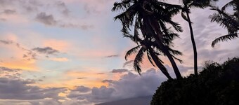 Charming Studio condo in peaceful Kihei with AC, WiFi, pool