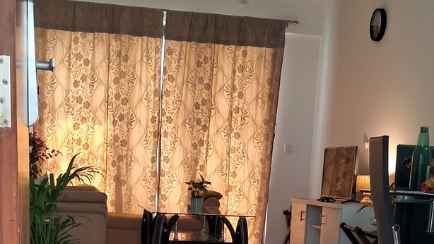 Un salon moderne avec un canapé, une table basse en verre et une table à manger. On peut y voir une plante en pot et une lampe sur la table.