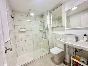 Shower, hair dryer, towels