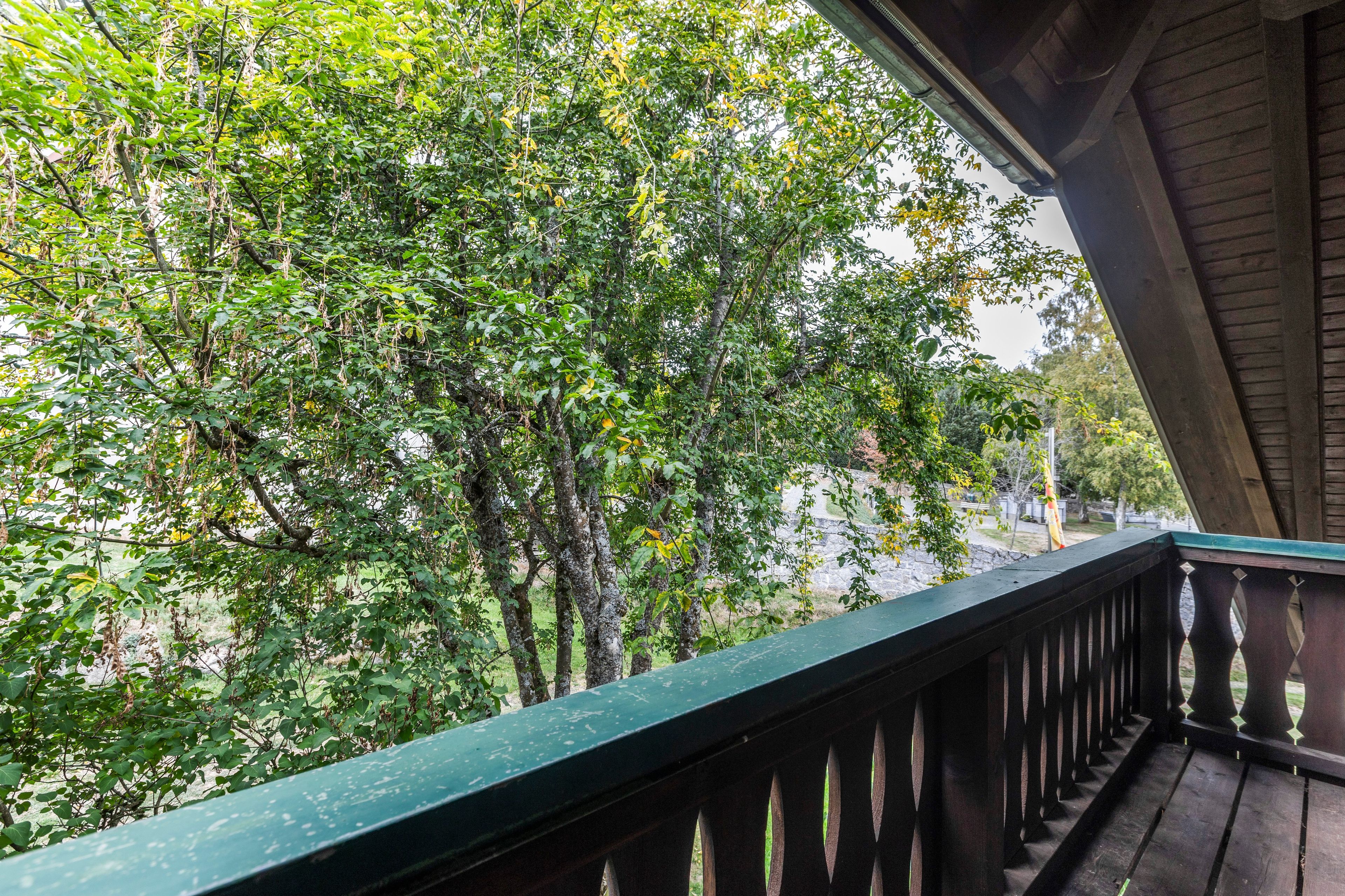 Un balcón de madera con vistas a un follaje verde y frondoso.