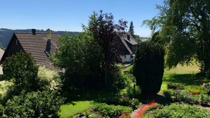 Ein Garten mit verschiedenen Pflanzen und einem Weg.