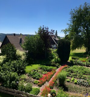 Property grounds - Apartment 'Jurisch' with Shared Garden, Balcony and Wi-Fi (Dachsberg (Südschwarzwald))