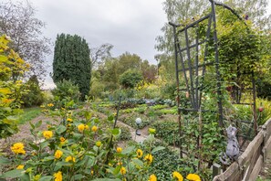 Un jardin avec différentes sortes de plantes et un grand arbre.