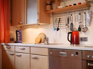 Fridge, oven, stovetop, dishwasher