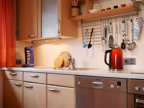 Fridge, oven, stovetop, dishwasher