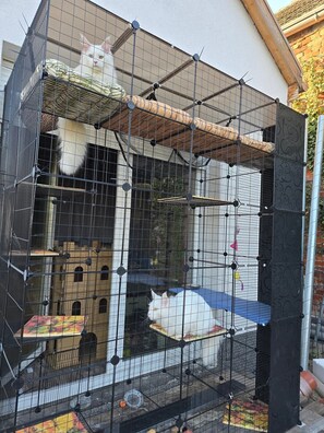 Terrein van de accommodatie