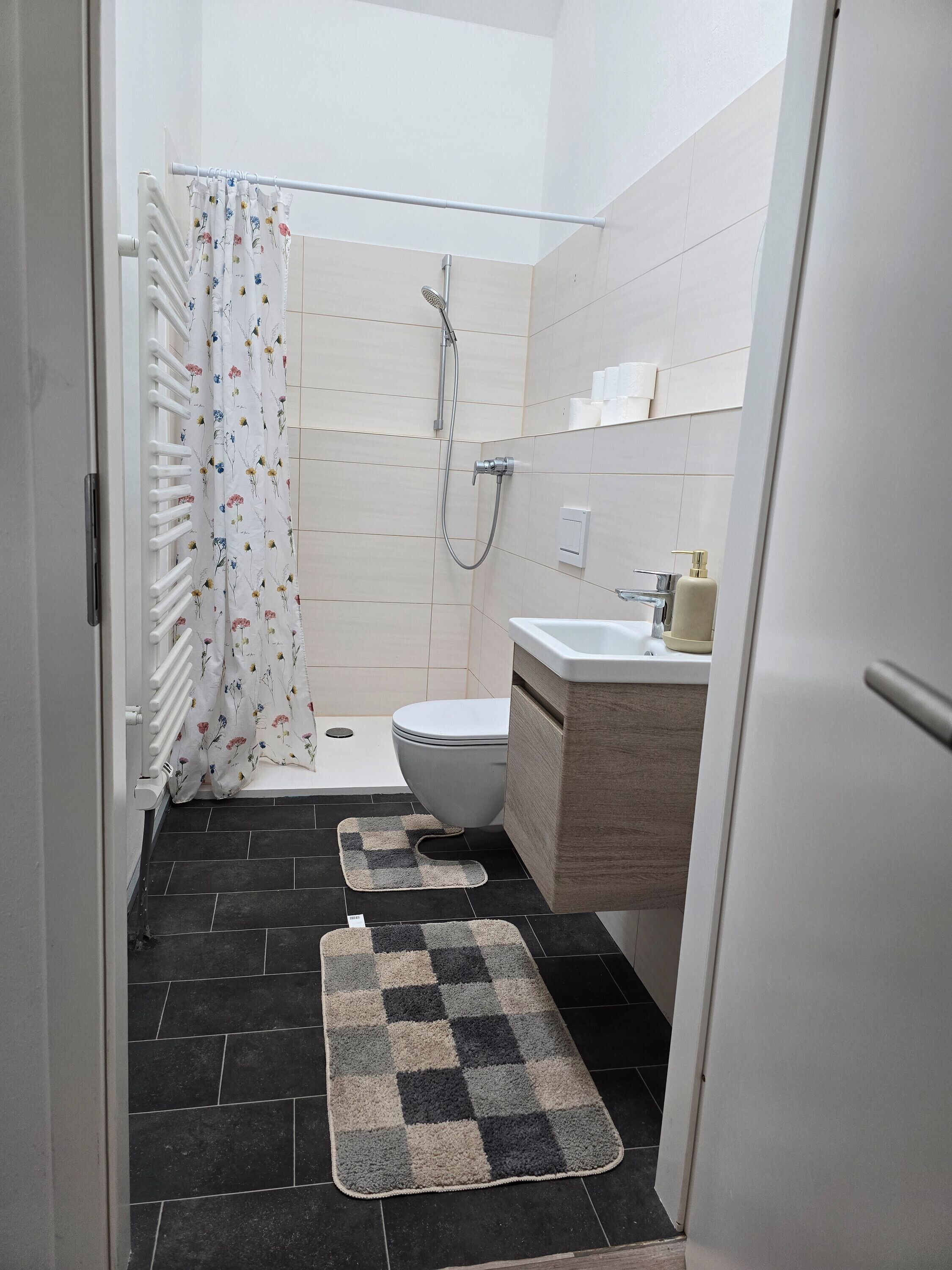 Shower, hair dryer, towels