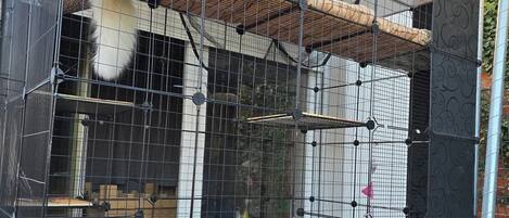 Terrein van de accommodatie