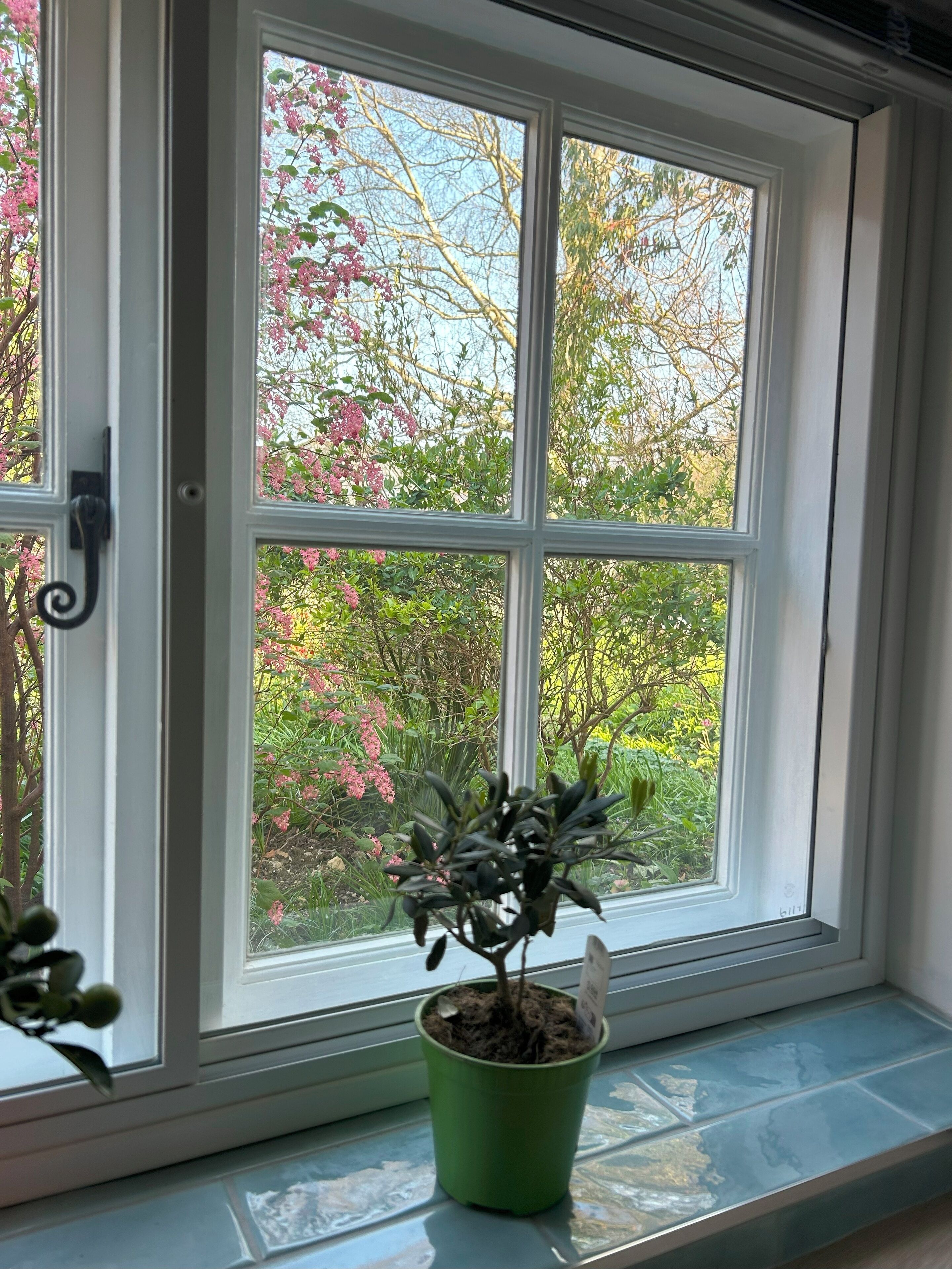 A window with a potted plant on the sill.
