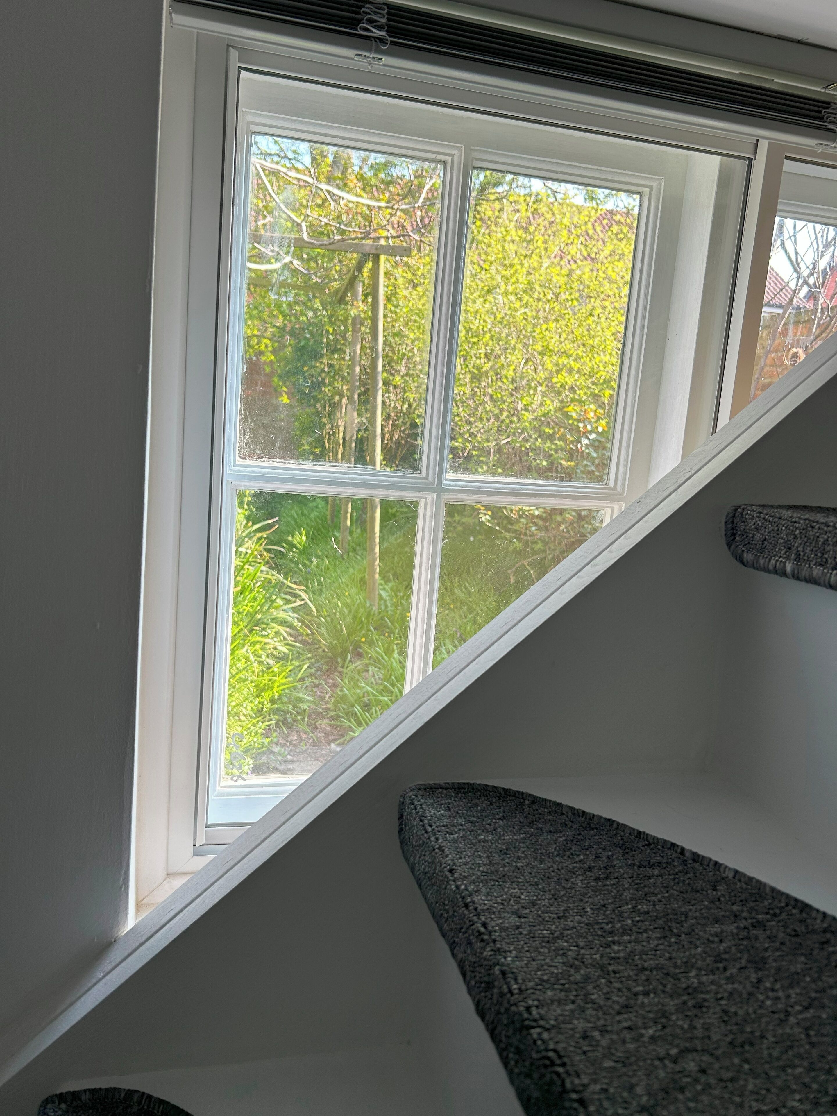 Ein Dachfenster mit Blick auf grüne Vegetation.