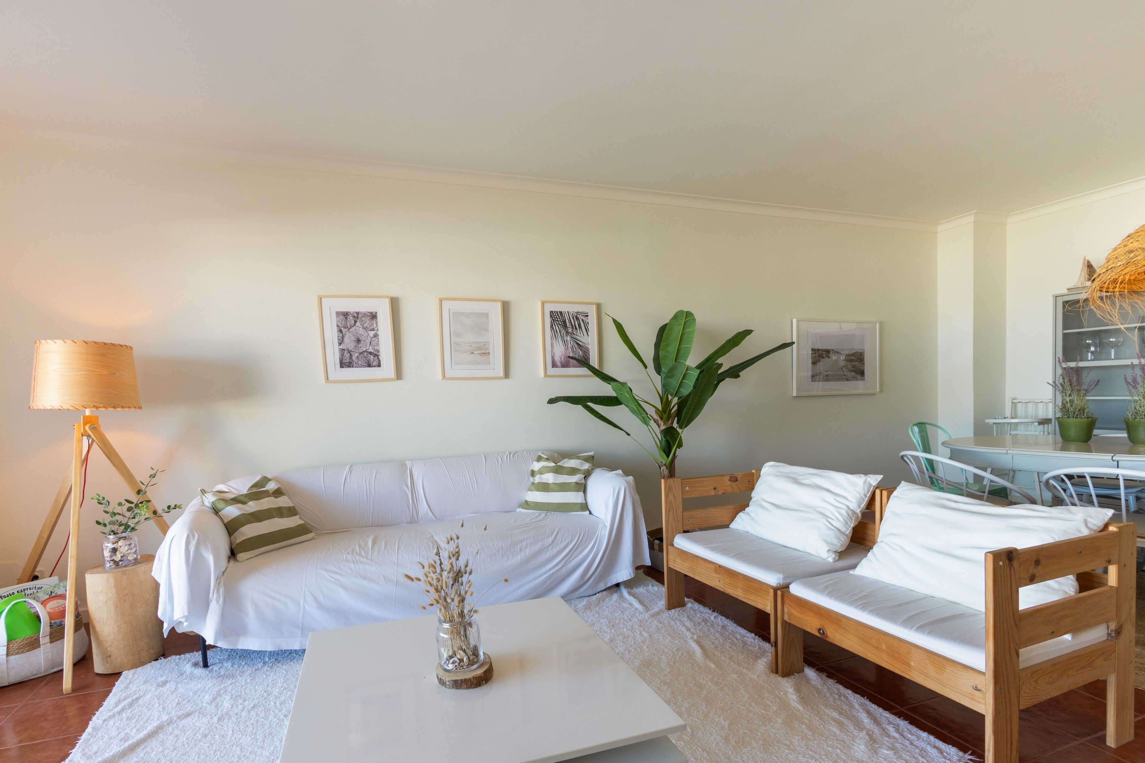 A living room with a sofa, a coffee table, a lamp, and a plant. There are framed pictures on the wall.