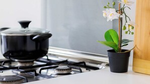 A kitchen with a stove, a pot on the burner, and a potted orchid on the counter.
