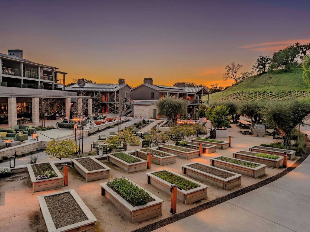 A landscaped outdoor area with multiple planters and seating arrangements.
