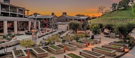 A landscaped outdoor area with multiple planters and seating arrangements.