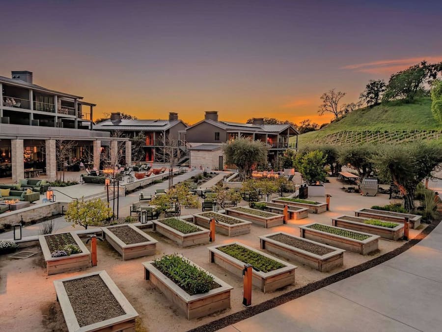 A landscaped outdoor area with multiple planters and seating arrangements.